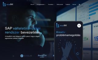 BlueBax - SAP vállalatirányítási rendszerek kiemelt képe